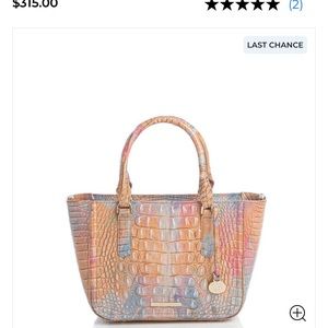 Brahmin Small Ashlee Bag - Courage Melbourne. Never worn. NWT. Beauty!